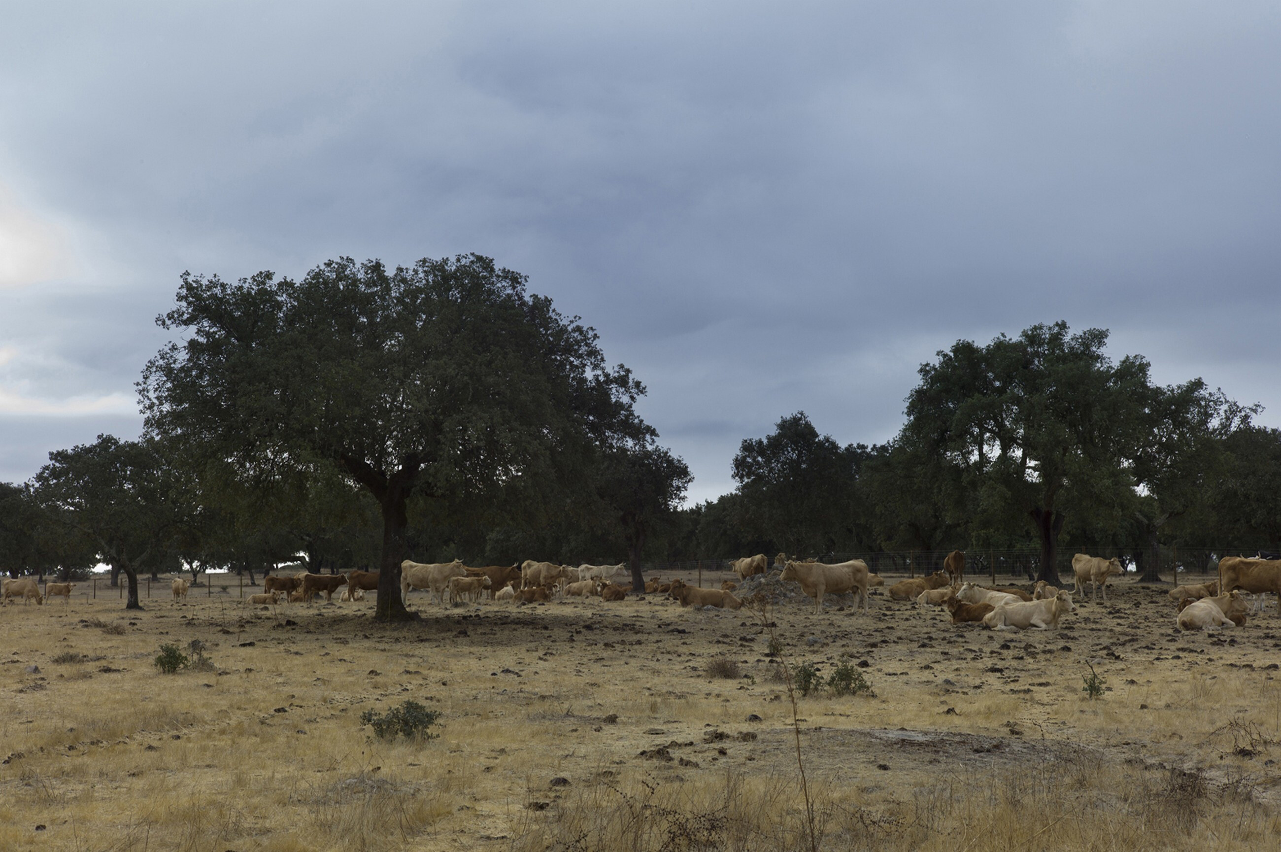 葡萄牙 Montemor·o·Novo 地区“时间之屋”-15