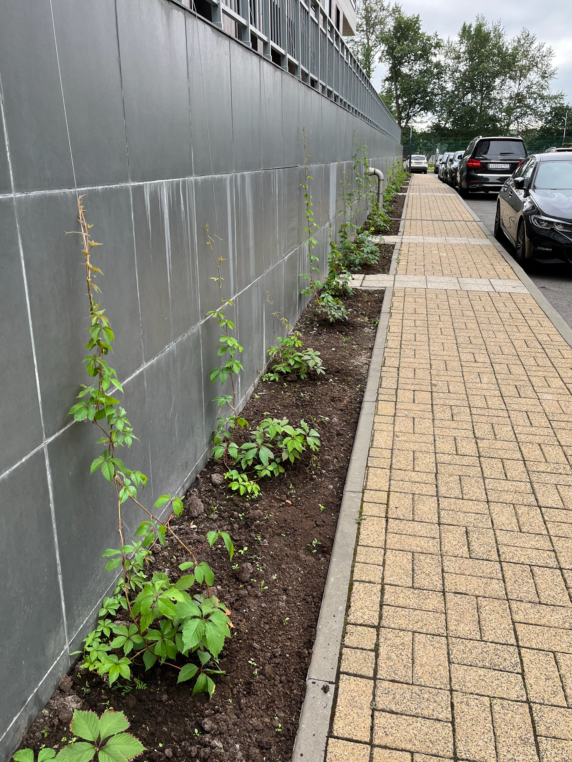 住宅小区绿化项目-19