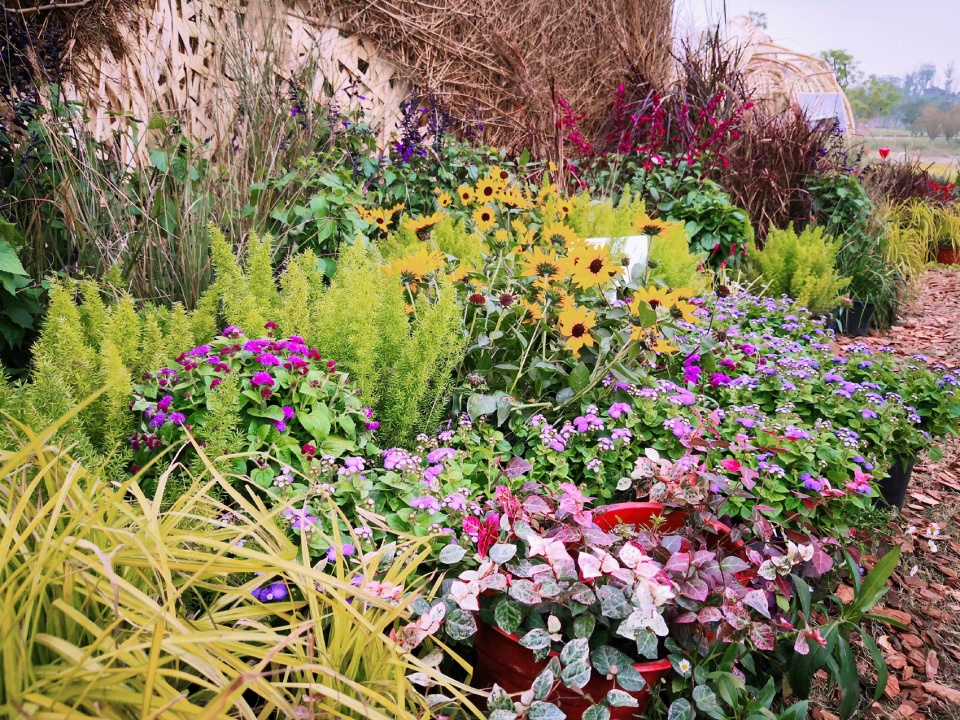 秘境花园 | 树洞中的心灵秘境-49