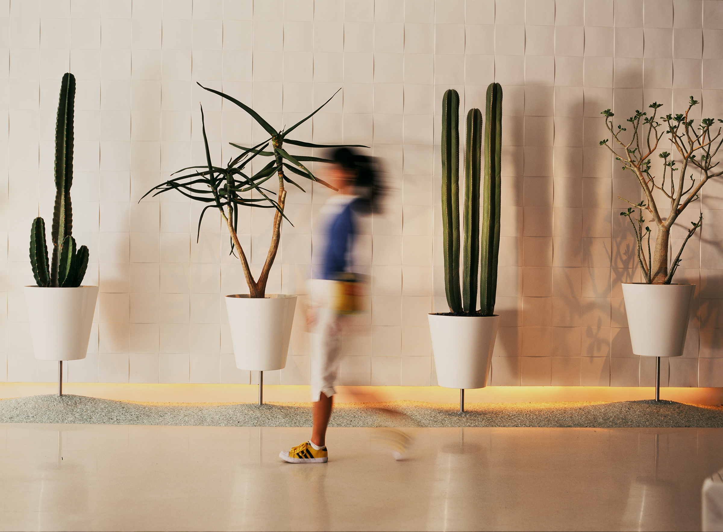 The Standard Hollywood-2