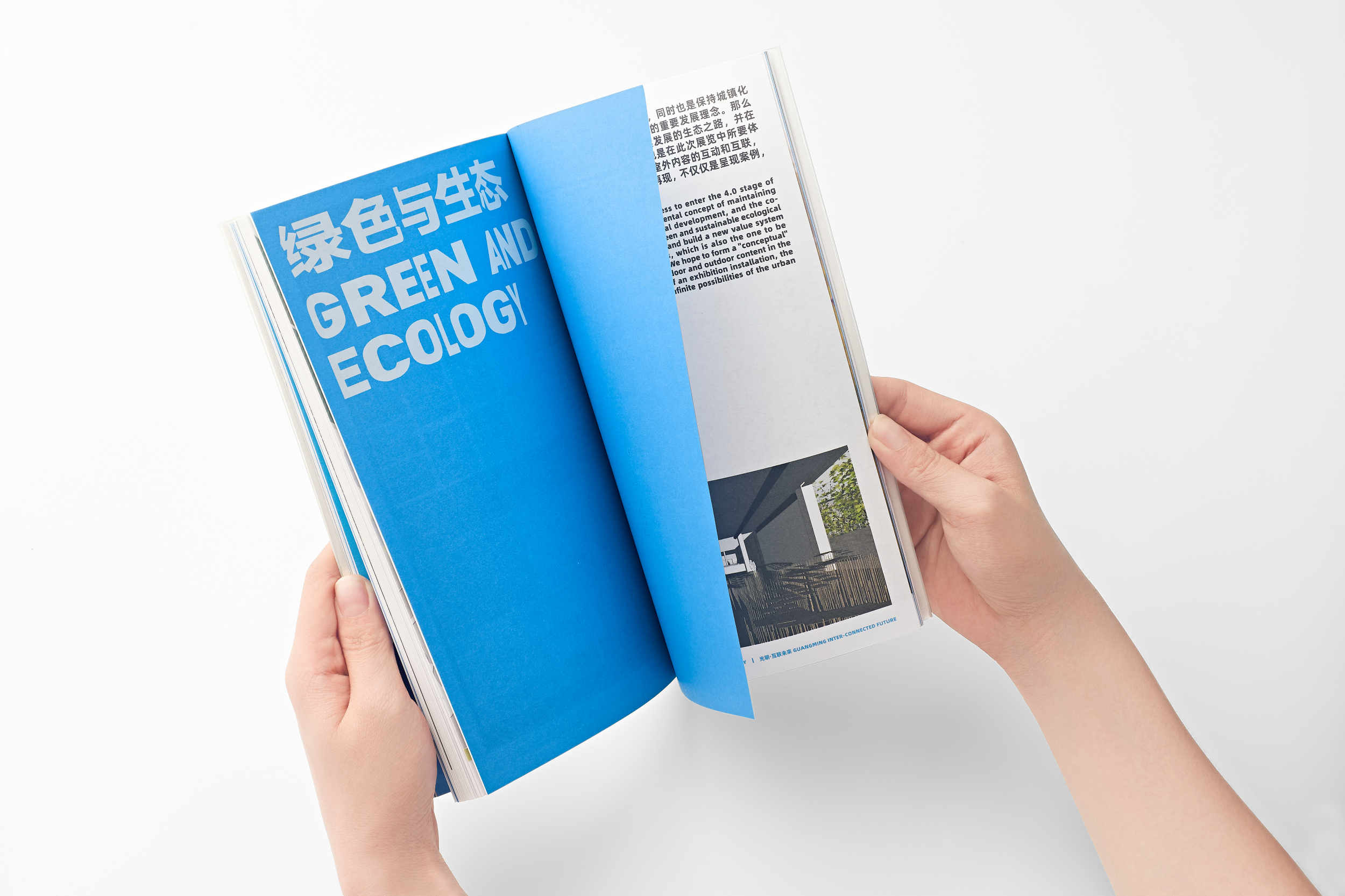 2019 UABB 深双光明分展丨中国深圳丨张烁,王小阳,胡绮玲,李爽-44