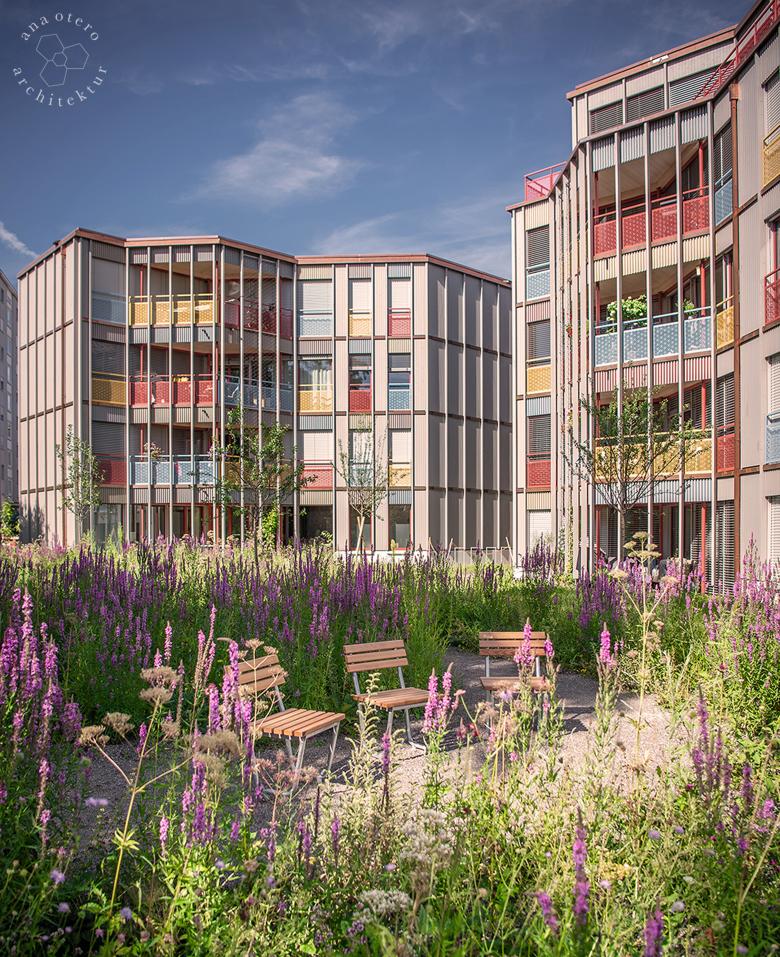 云谈丨瑞士苏黎世丨Ana Otero Architektur-3