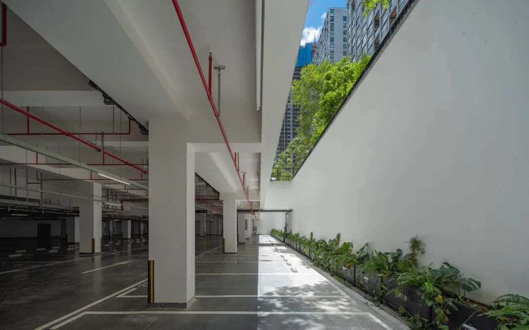 泰华梧桐村丨中国深圳丨奥雅纳-35