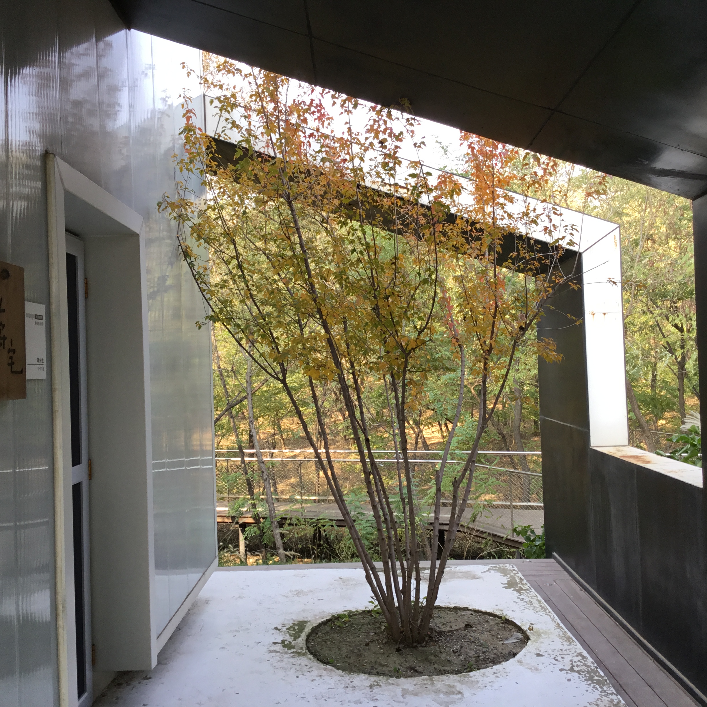 阿那亚的景色-7