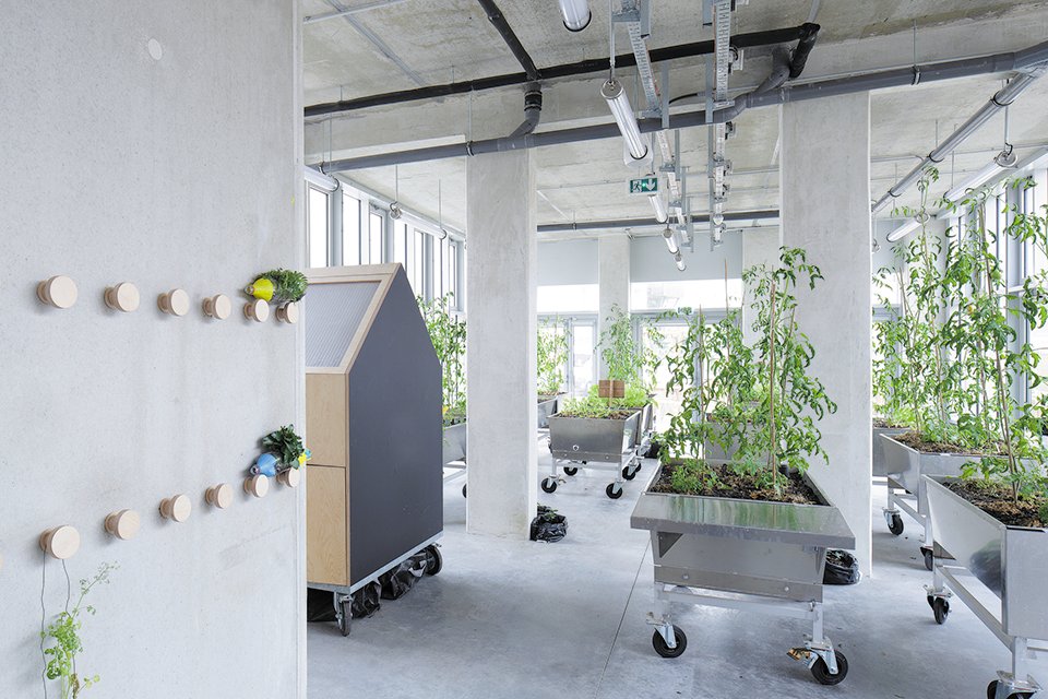 LaCitéMaraîchère · 现代农业与可持续发展的创新综合体丨法国丨ilimelgo,secousses 等-31