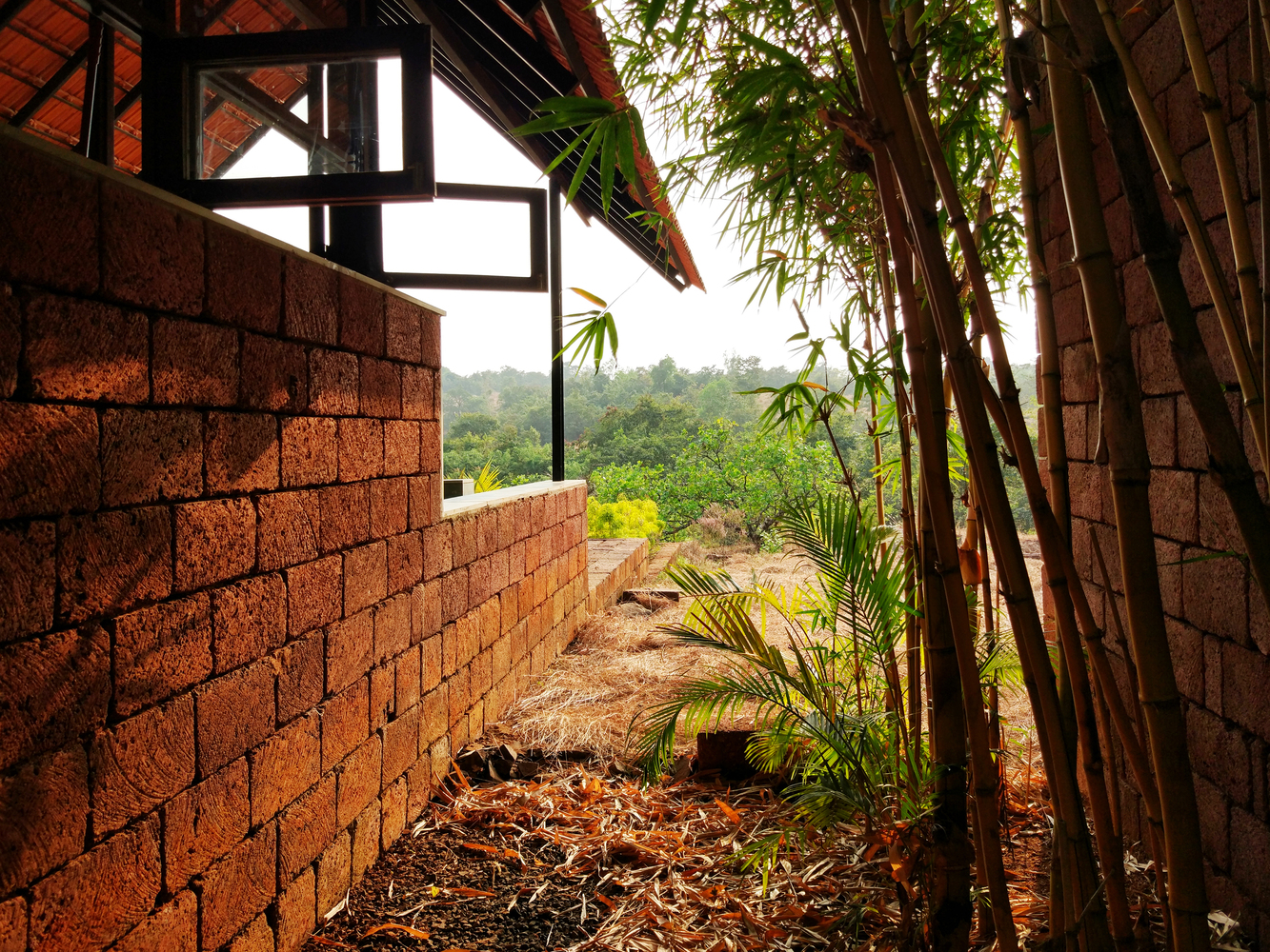印度乡间绿意盎然的退休之家-19