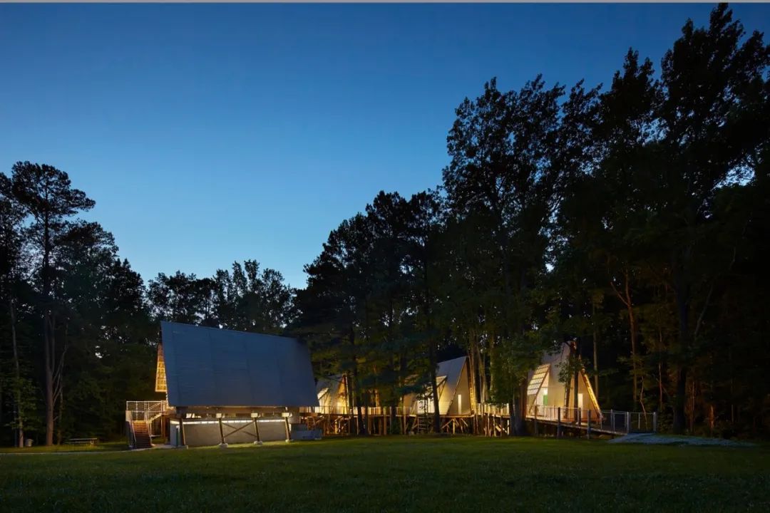 格雷厄姆营地 | 树屋冒险，自然与设计的完美融合-31