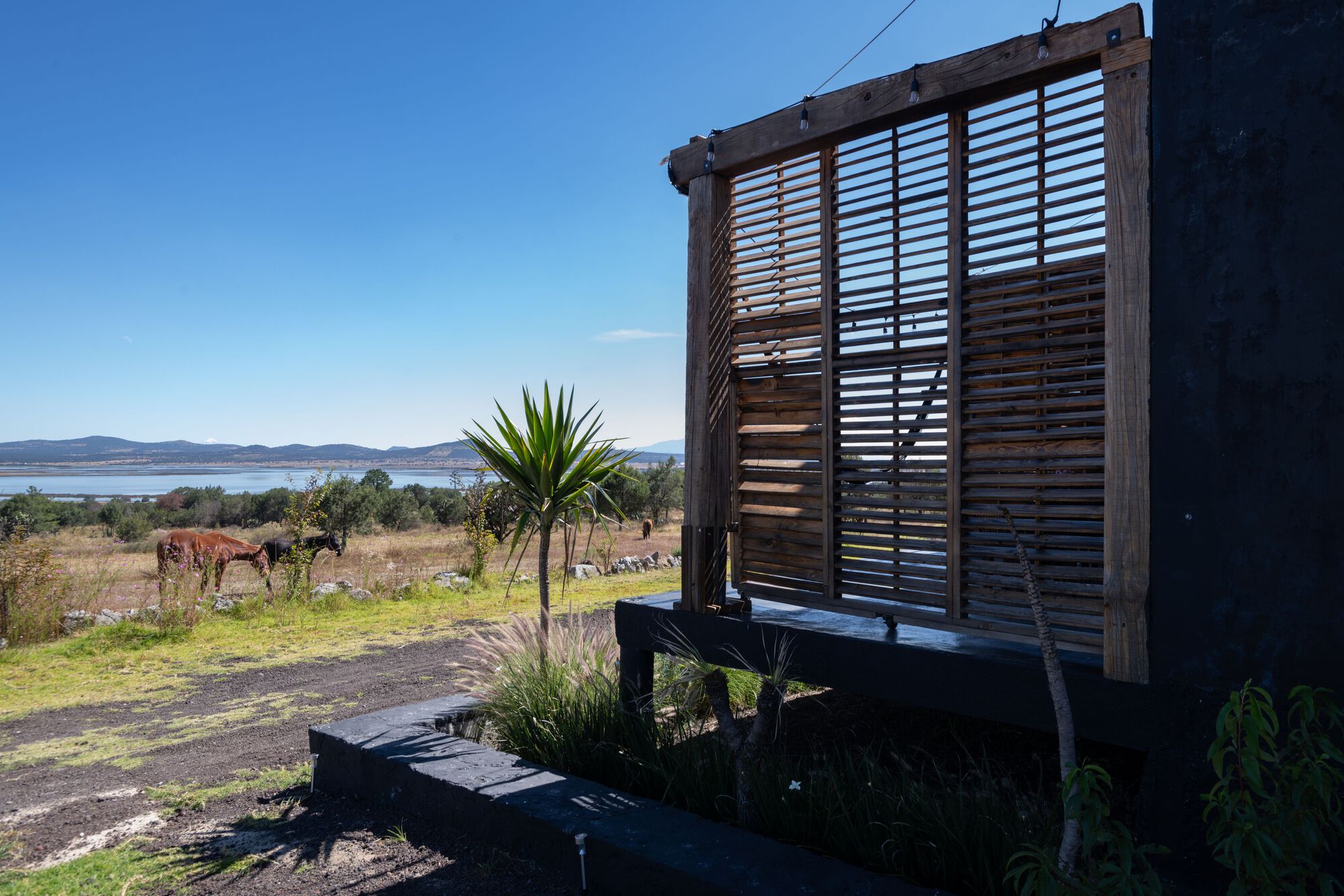 中村屋丨墨西哥丨Fausto Terán,Toro-40