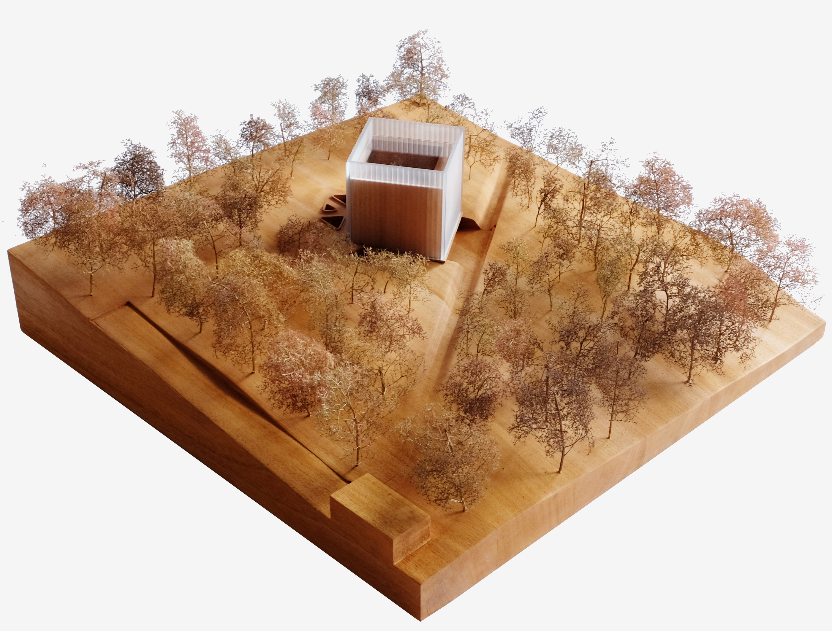 Ian Potter National Conservatory | CHROFI-11