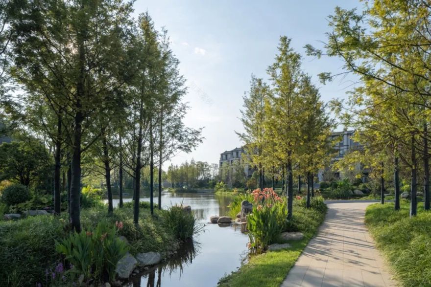 傍山麓野 | 长沙麓隐青竹湖-51