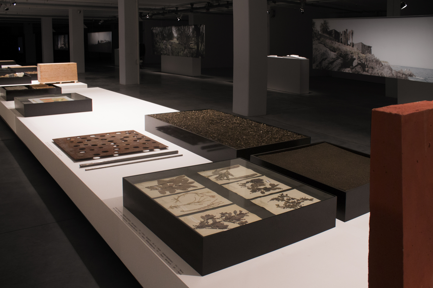 葡萄牙景观建筑展 · 若昂·戈梅斯·达席尔瓦与保罗·大卫的协作-77