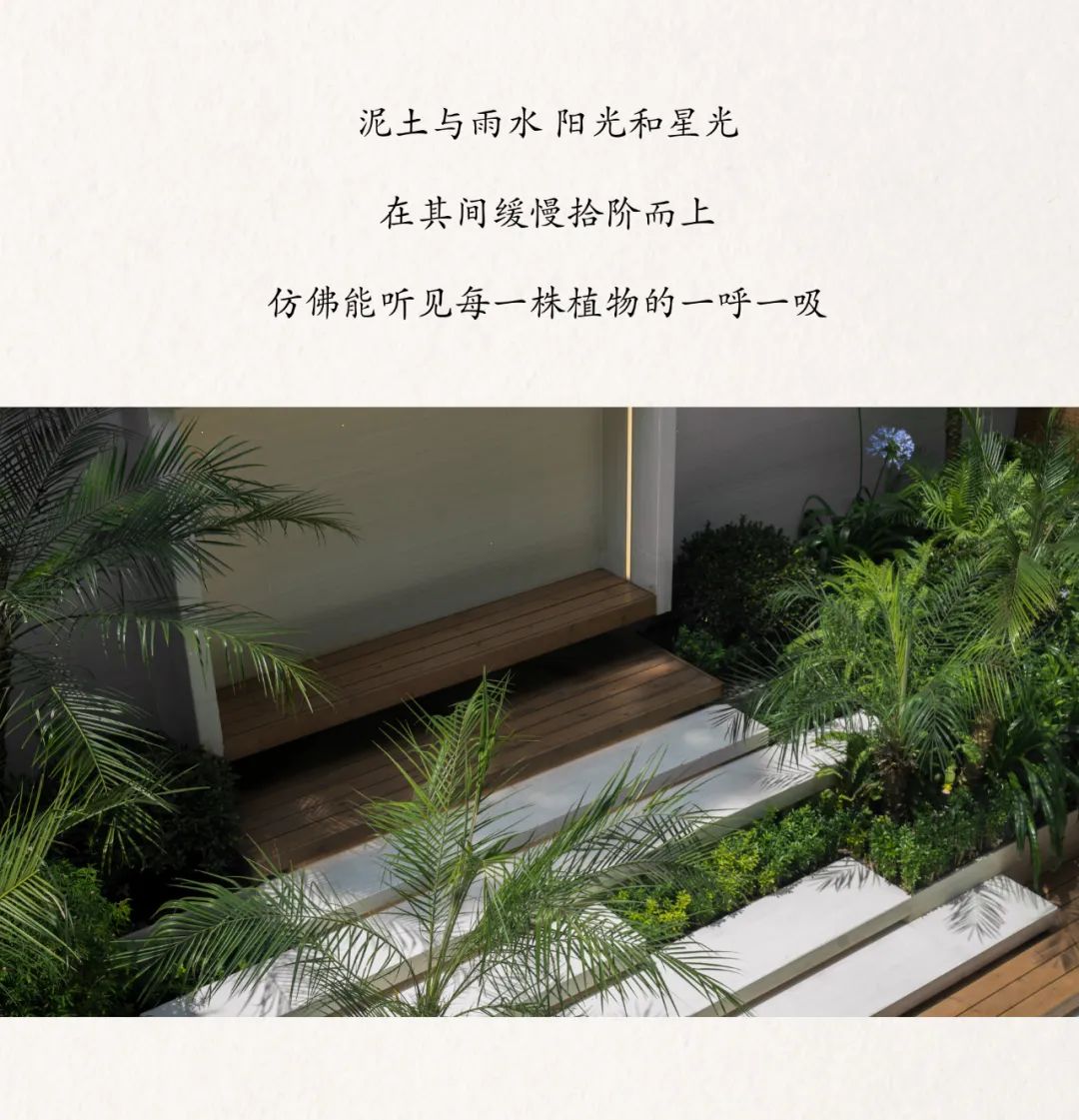 橱窗花园 · 打造城市中的自然绿洲丨中国金山丨MUSO DESIGN-16