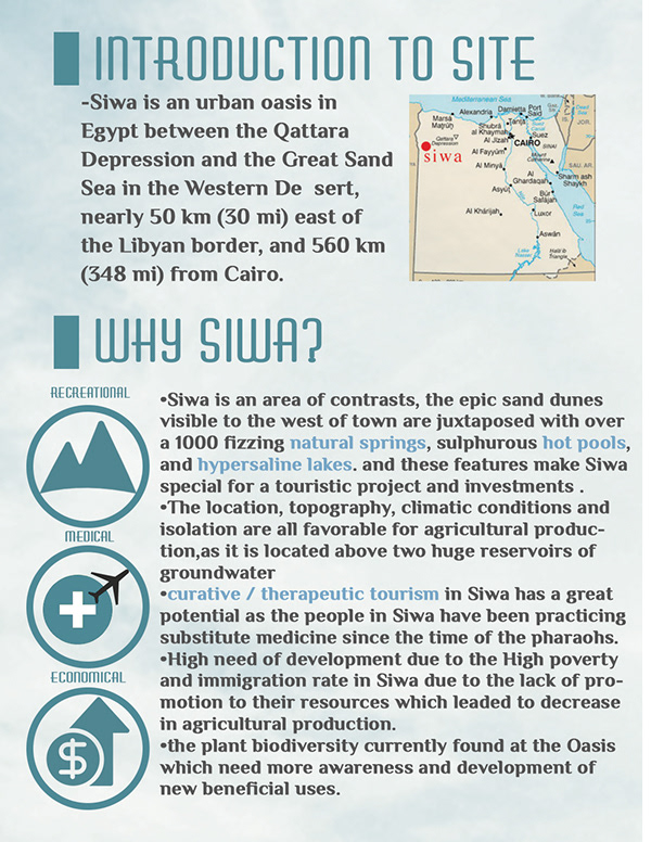 欣快营养度假村丨开罗大学工程学院建筑系-16