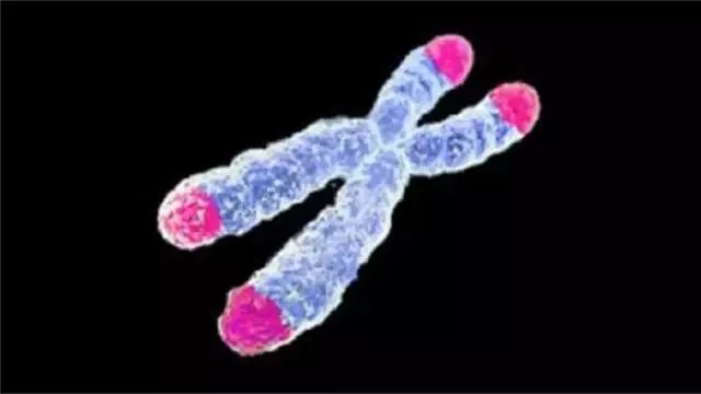 《Science》公布的 125 个最具挑战性的科学问题,你感兴趣的是哪个?-132