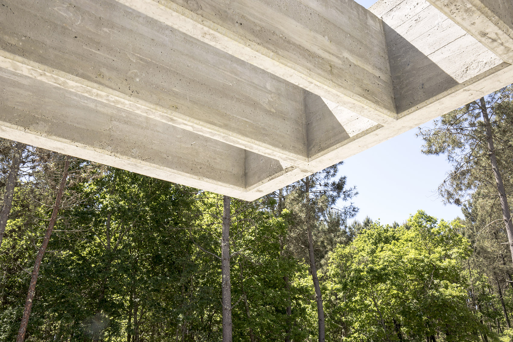 隐于自然的混凝土住宅,葡萄牙/ waataa-29