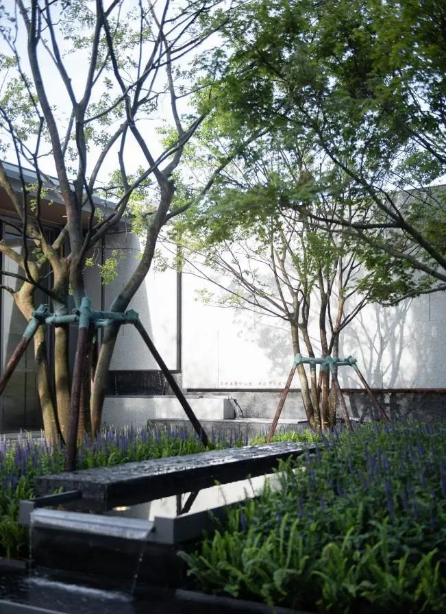 青岛中海学仕里丨中国青岛丨深圳市派澜景观规划设计有限公司-1