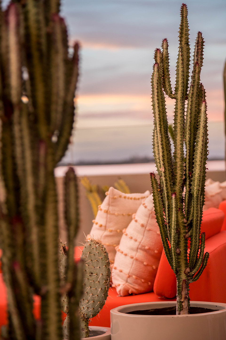 Casa Hoyos 精品酒店丨墨西哥丨AG studio-35