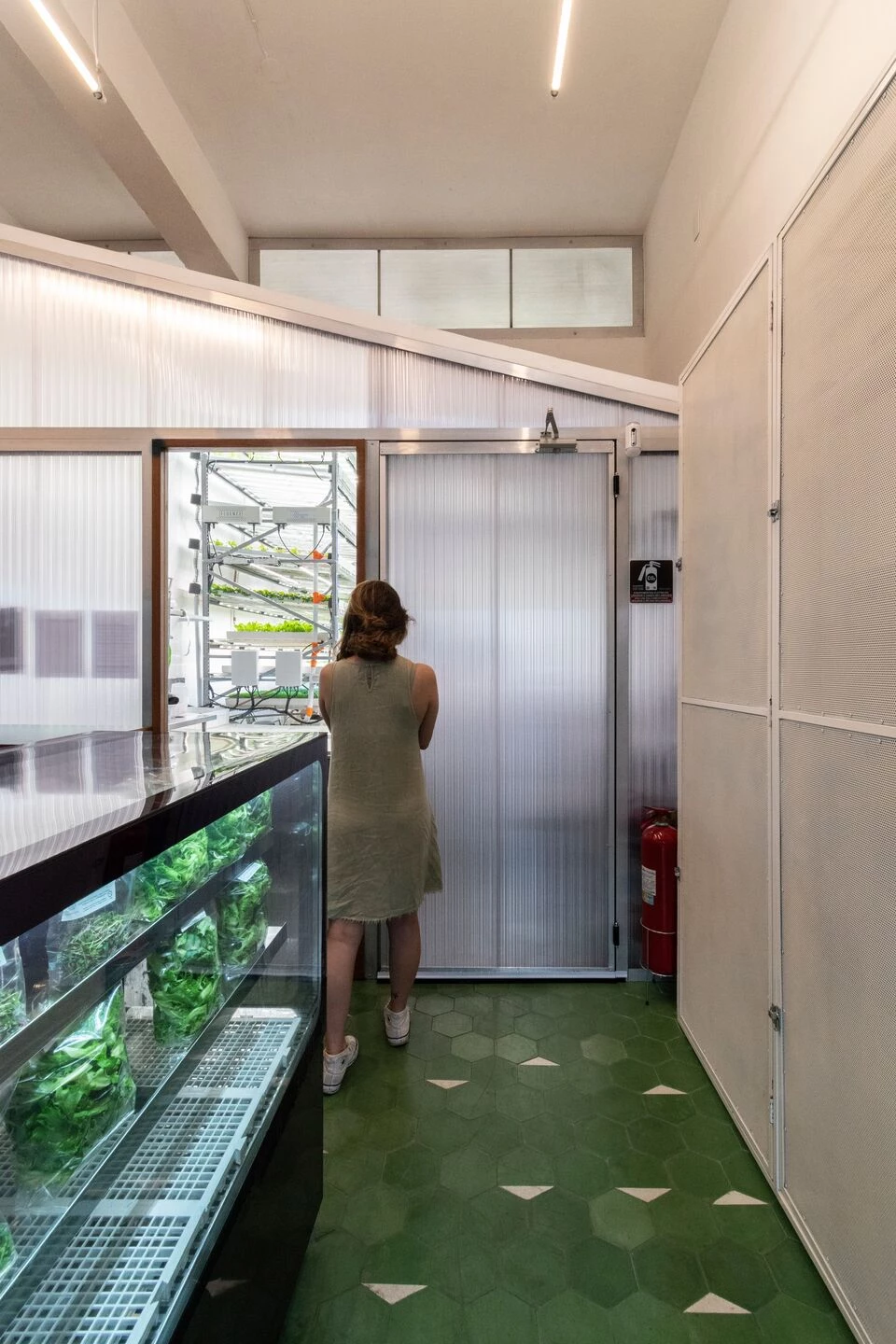 Fazenda Cubo 水培种植丨巴西圣保罗丨Estúdio Lava-16