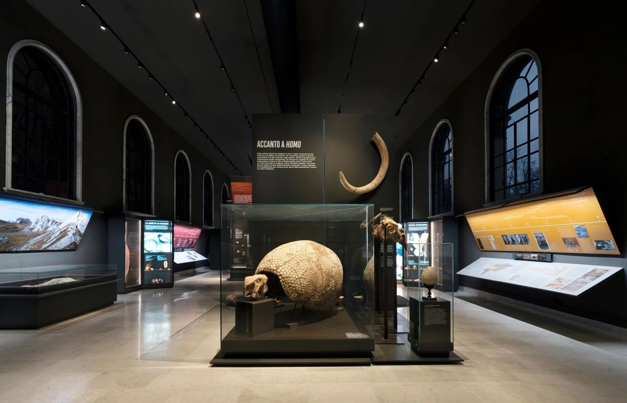 米兰自然故事博物馆(第九展厅)丨意大利米兰丨意大利 Migliore Servetto 设计工作室-3