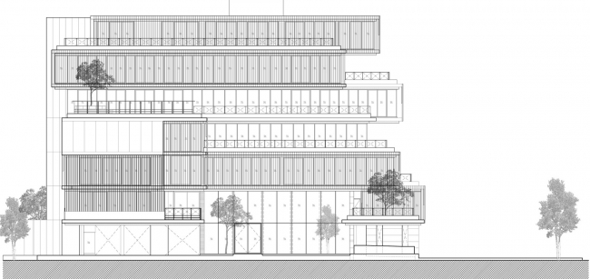 曼谷“水稻梯田”式办公室,绿色环保,灵活共享空间-53