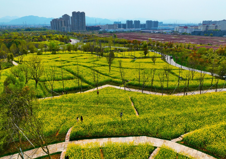 金华湖海塘公园复耕改造工程丨中国金华丨中交第四航务工程勘察设计院有限公司,上海赤地设计事务所-26