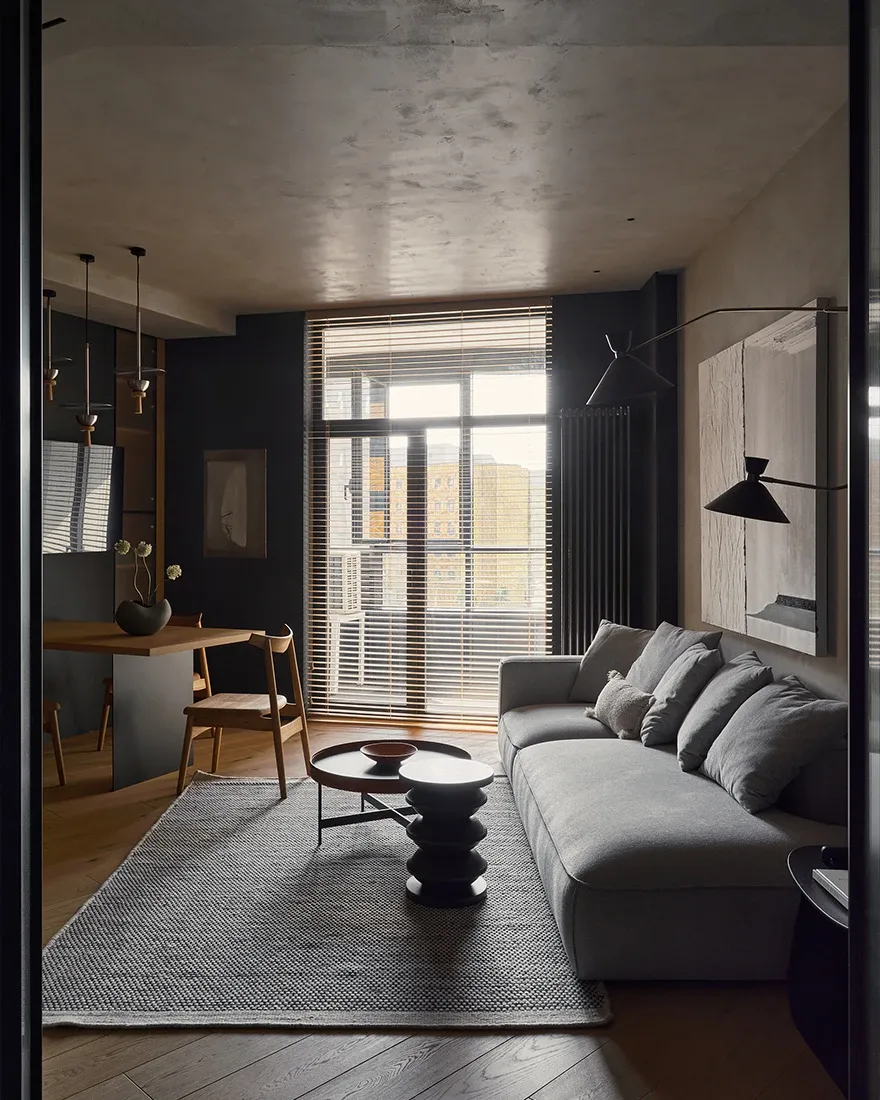 90平米深色青年IT人士公寓设计丨俄罗斯圣彼得堡丨A&R Interiors(亚历山大·阿加波娃,玛格丽塔·普什卡列娃)-17