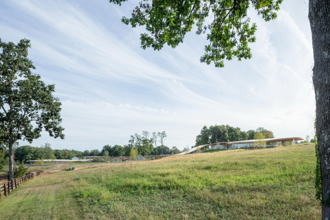 Grace Farms中心River建筑及相关设施丨美国康涅狄格丨OLIN,SANAA-15