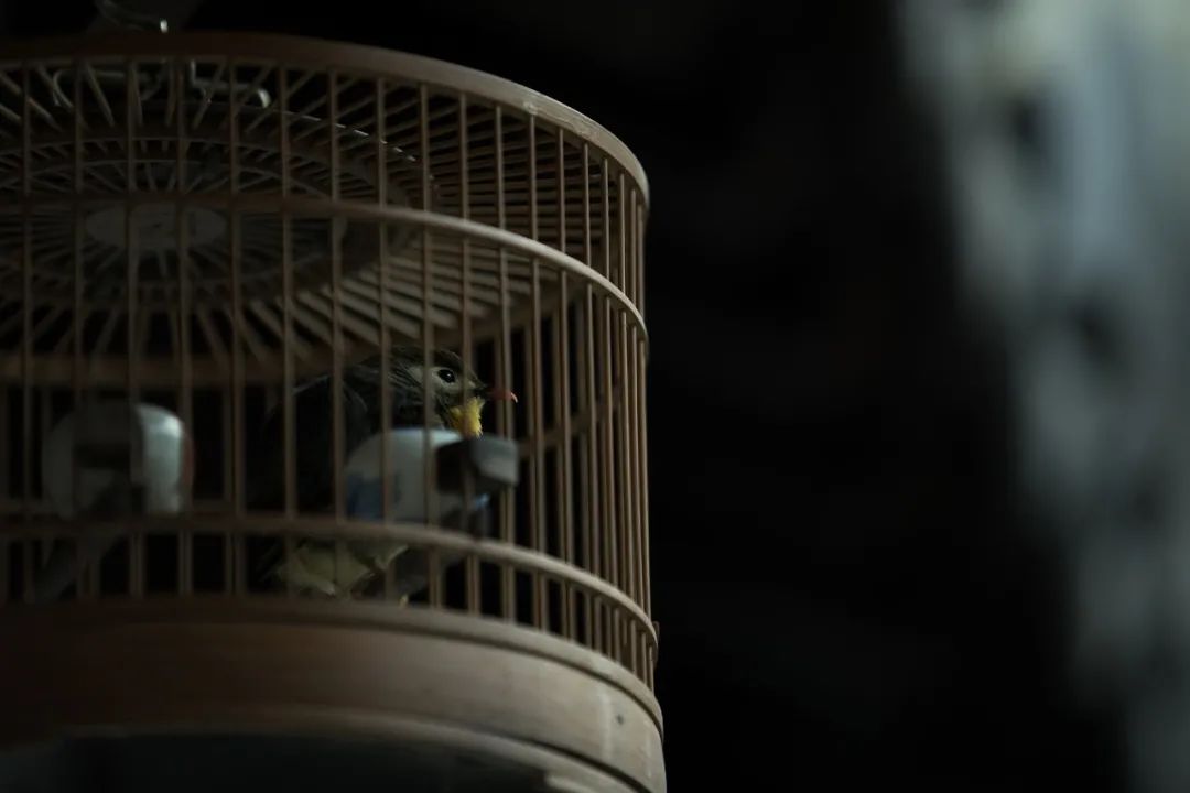 归心·乡愁 · 东坡记忆中的宜兴早春丨誰最中國-12