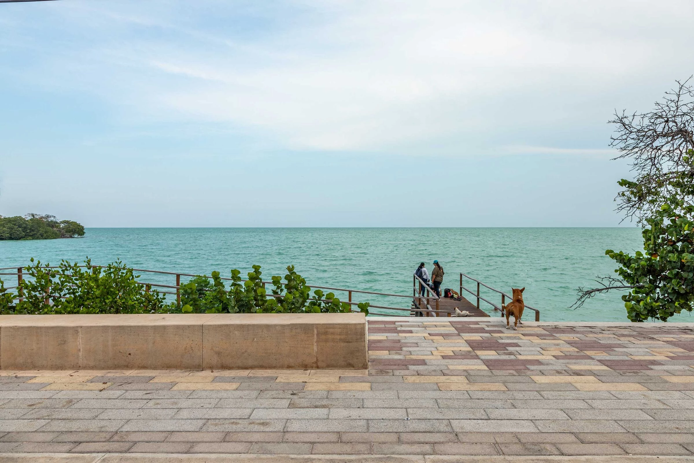 Malecón Calderitas 滨海步道改造丨墨西哥丨a|911-22