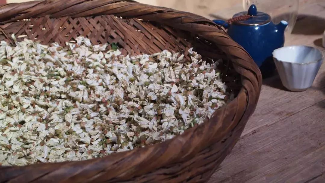 终南山书院 | 回归自然的诗意栖居-106