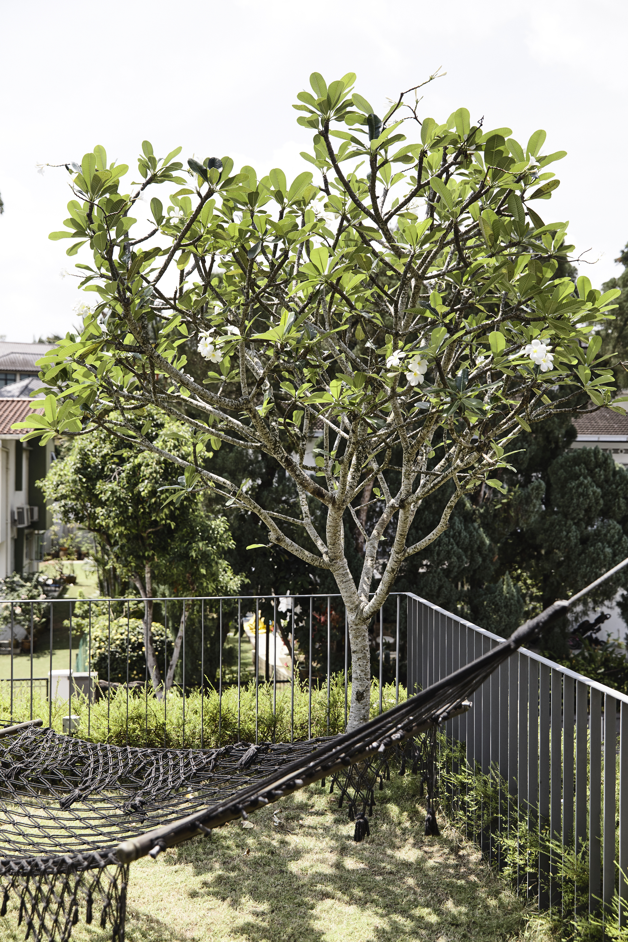 绿意盎然的自然共生别墅-16