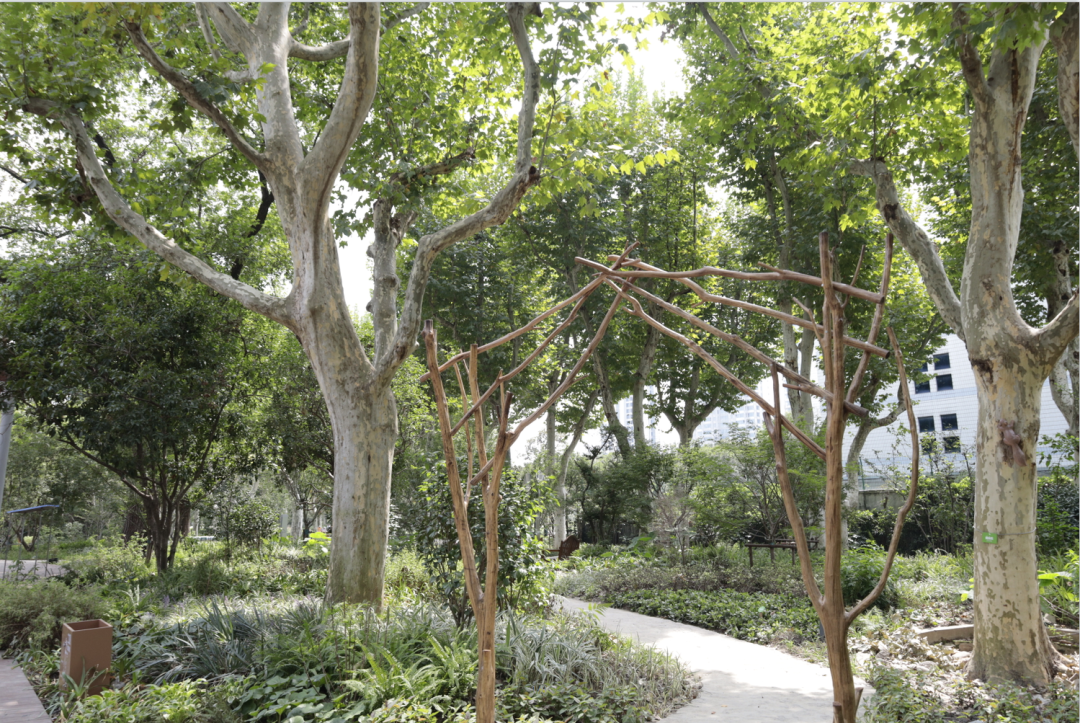 案例 | 上海首个在公园中的自然中心——和平公园自然中心-91