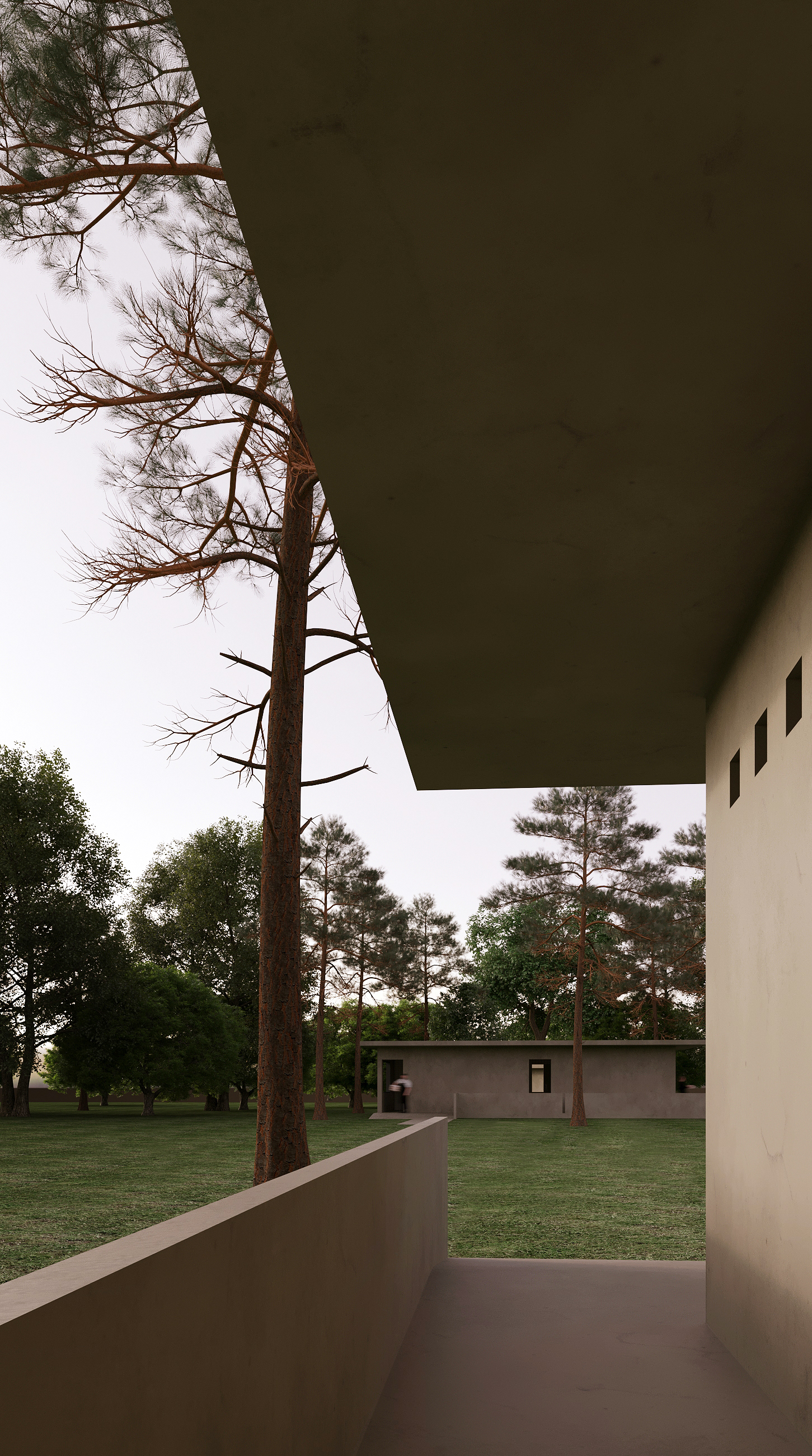 树林中的个性厕所-17