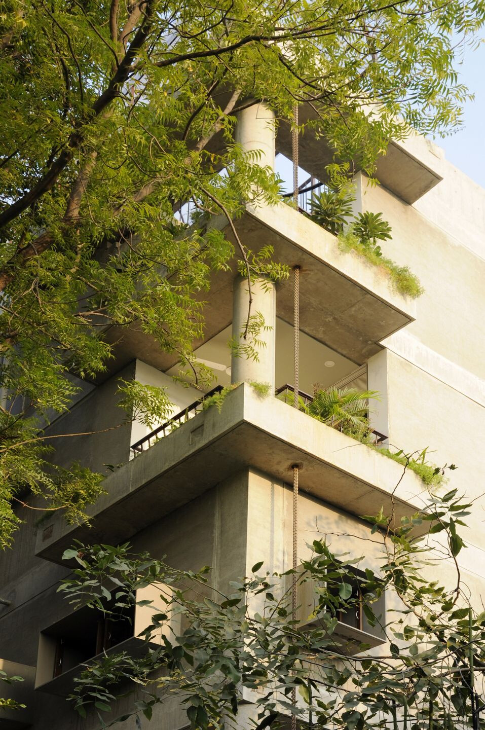 塔楼住宅 · 班杜克史密斯工作室-23