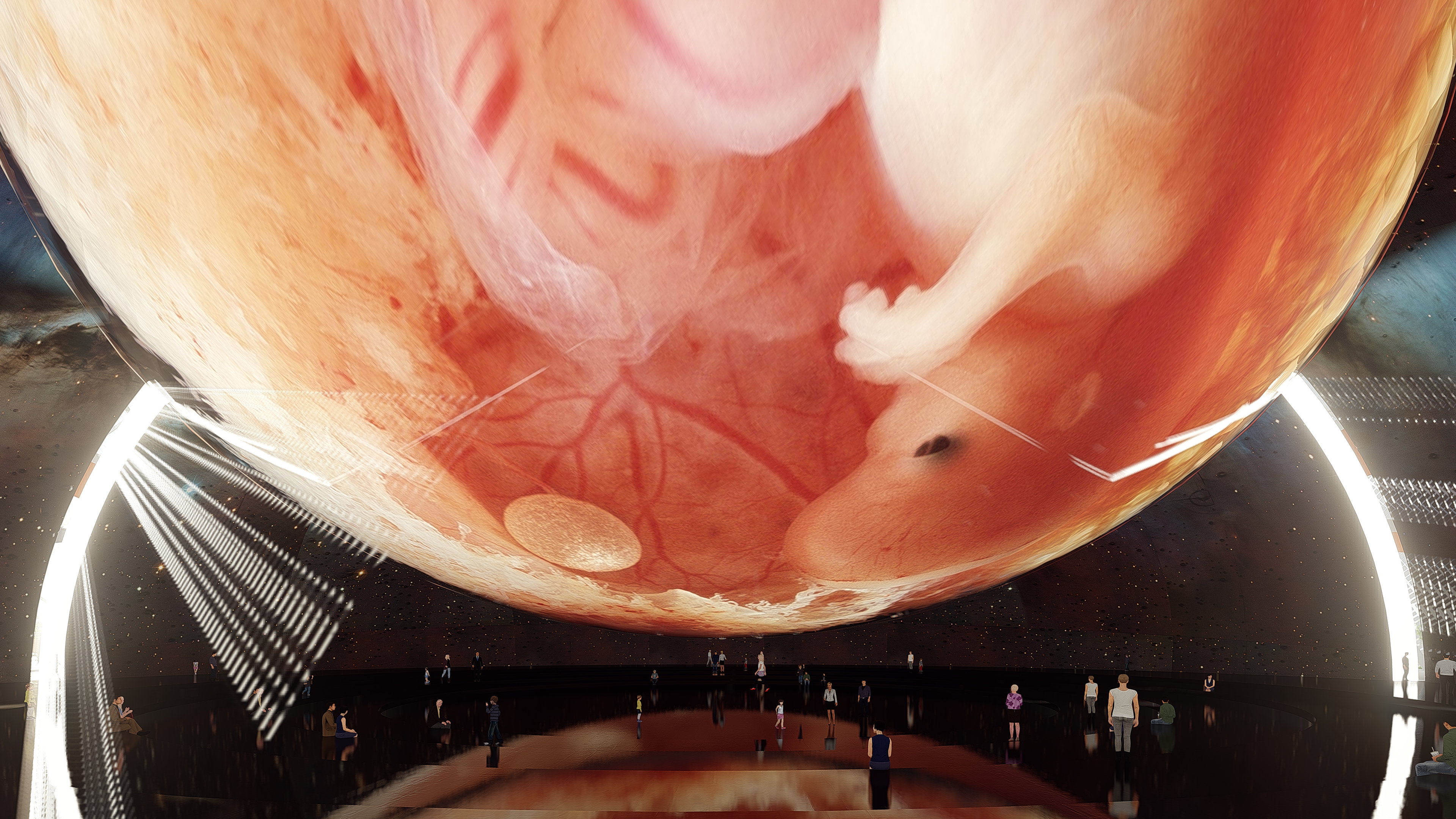 伦 X 科学中心丨Yunchao Xu,Atelier Apeiron-19