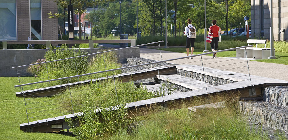 塞勒姆州立大学沼泽大厅-29