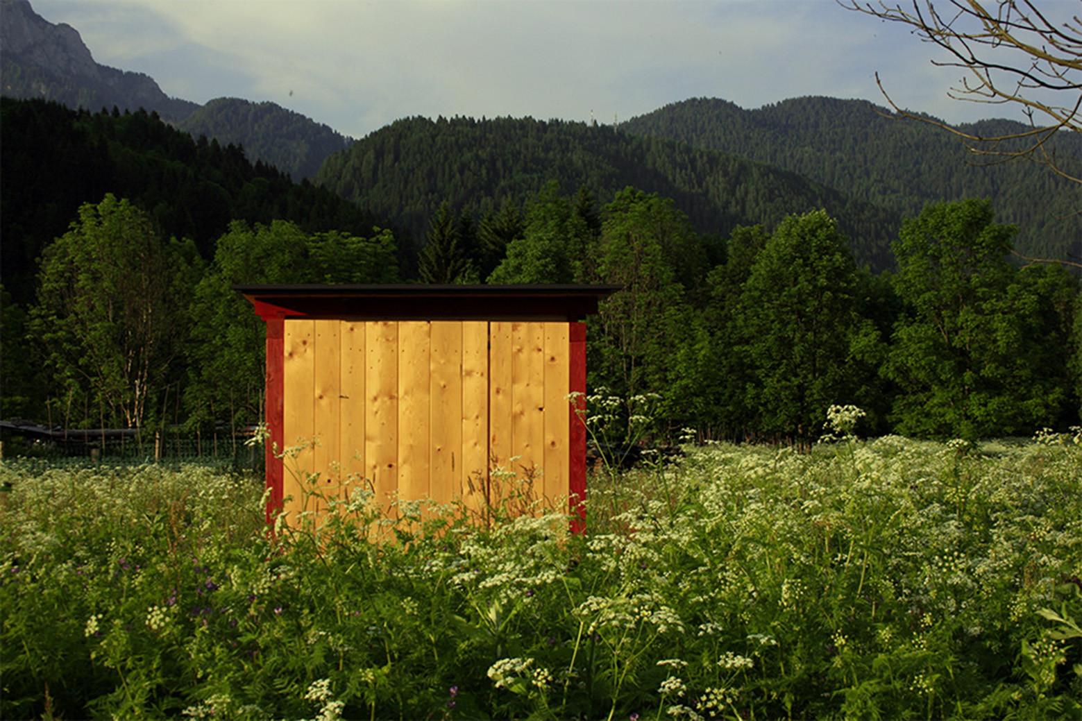 “Binnenhaus”蜜蜂蜂巢设计-22