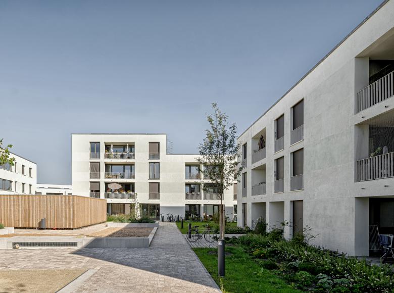 在草地边缘 布肯霍夫丨德国-15