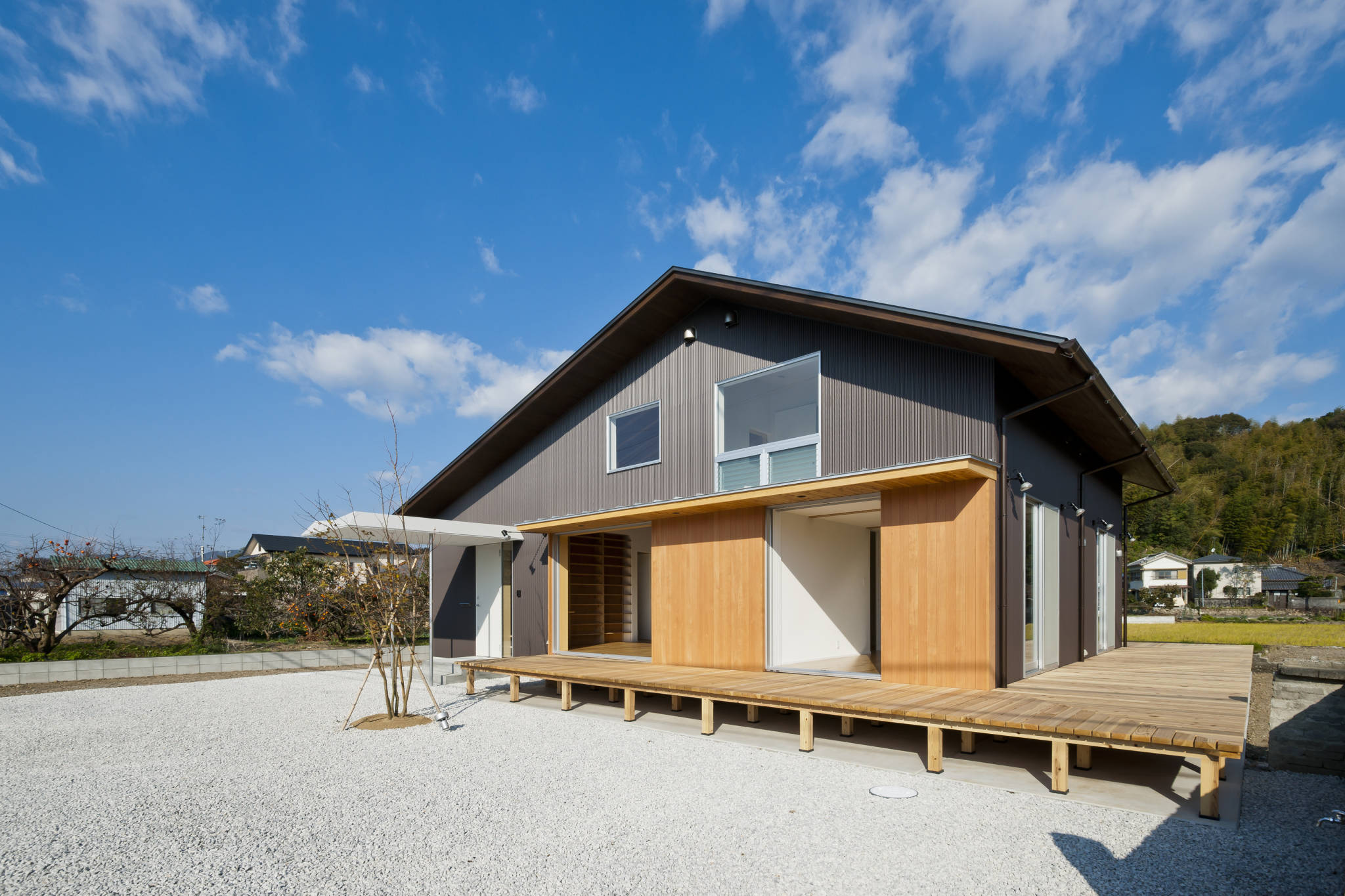 Totoro（托托罗）-4