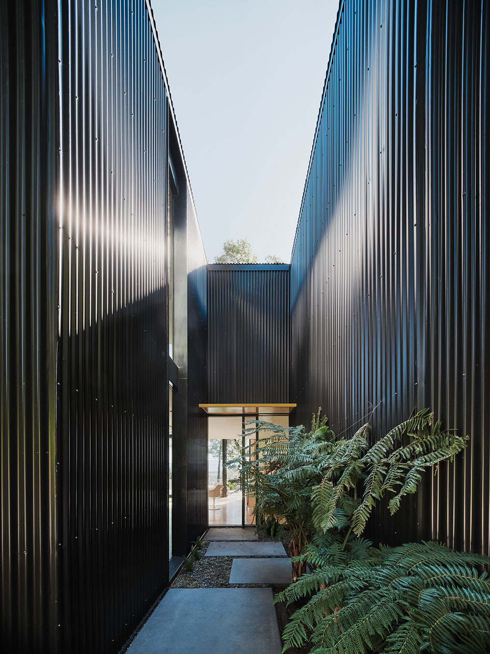 加州纳帕谷的现代玻璃金属森林别墅-21