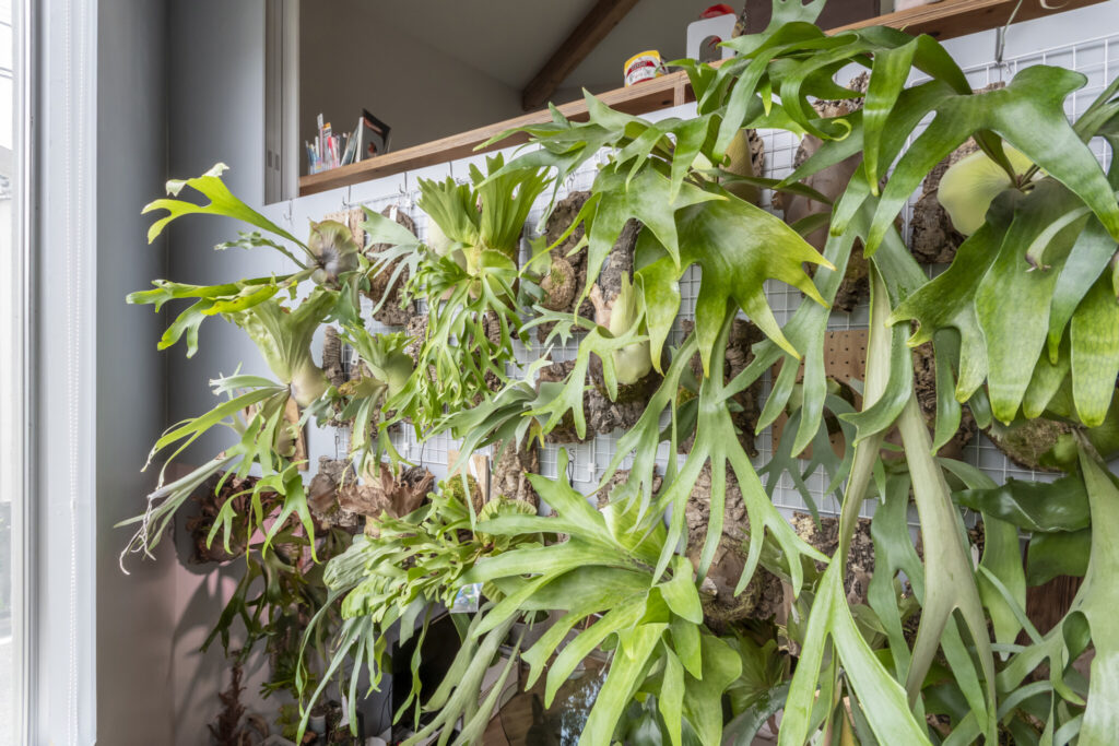 多くの緑とともに暮らす飽きの来ない家　ゆるやかにつながる空間と大きな開口でのびのびと暮らす | Architecture | 100%LiFE-11