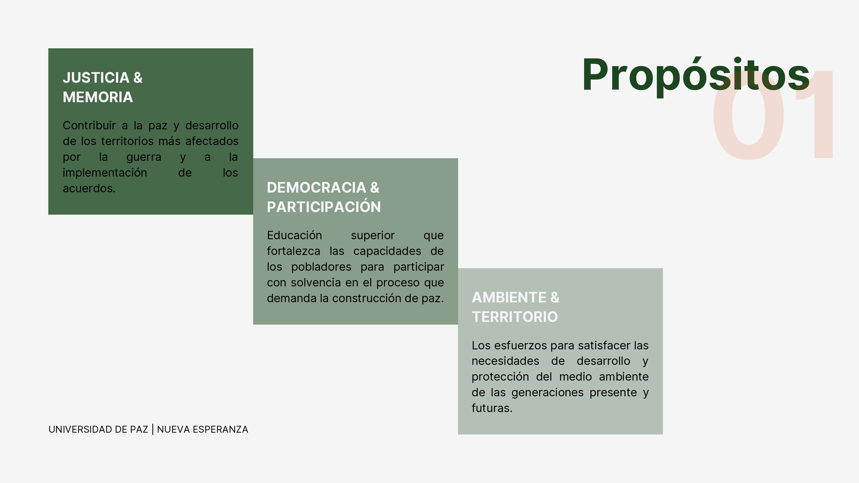 CC·诊所·项目·大学·和平-5