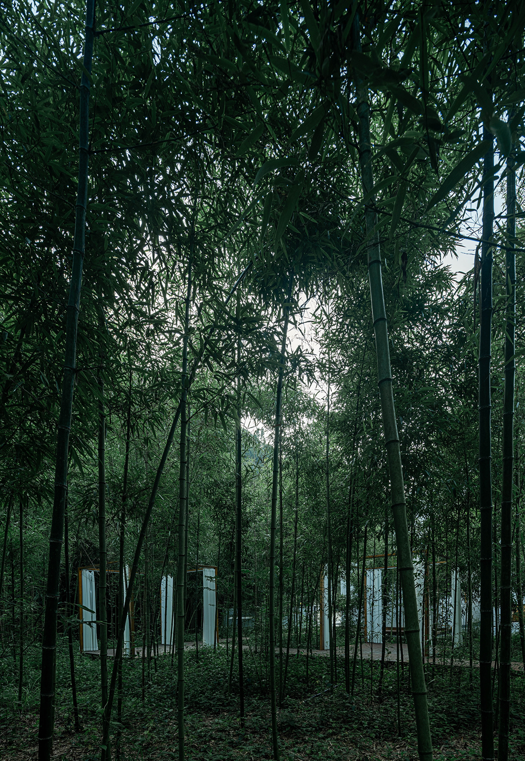 墨浅小筑丨中国杭州丨辛明志,主禾设计-65