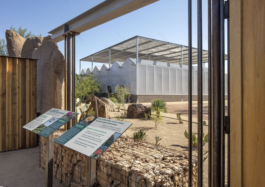 沙漠植物园一期丨美国-5