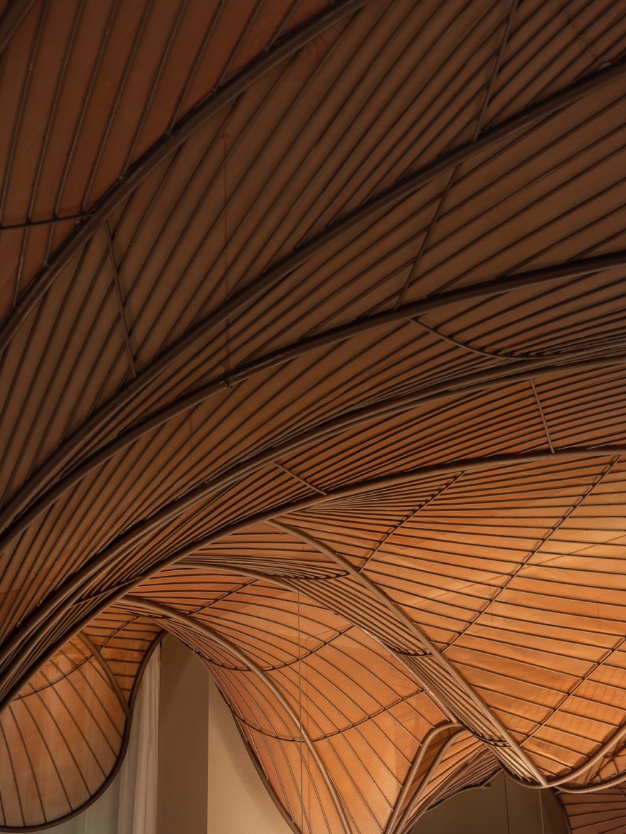 Tang`Talk 唐采丨中国太原丨浆果设计研究所-43