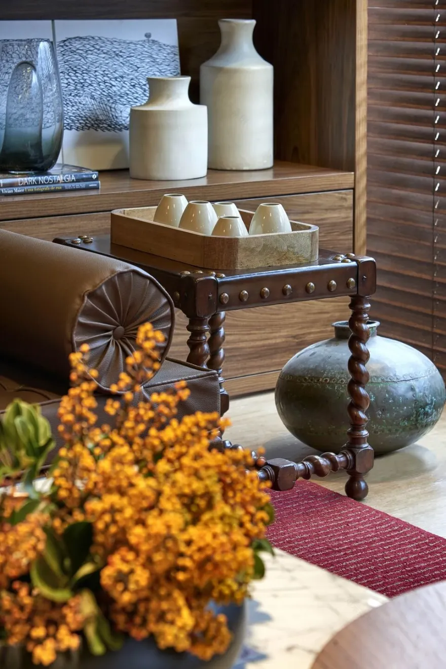 精神分析学家办公室丨巴西-8