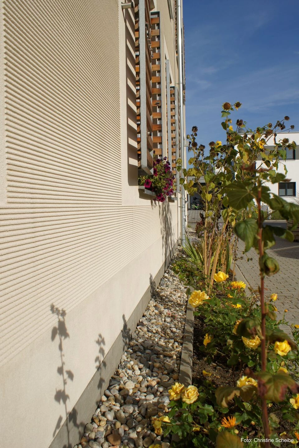 Am Bramschkontor Dresden-9