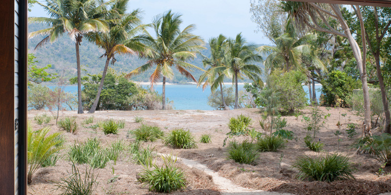 昆士兰本土硬木百叶窗打造的热带风情家居-0