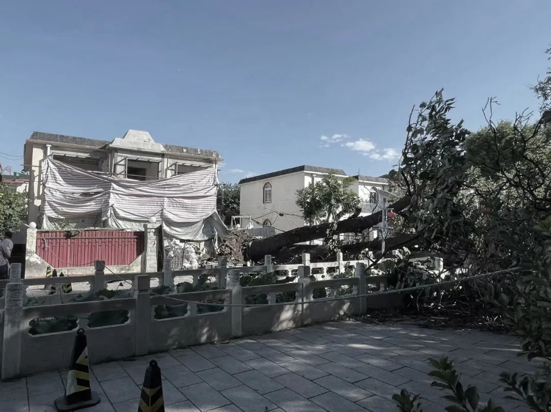 “拾光夏”民宿丨中国北京丨DK大可建筑设计-97