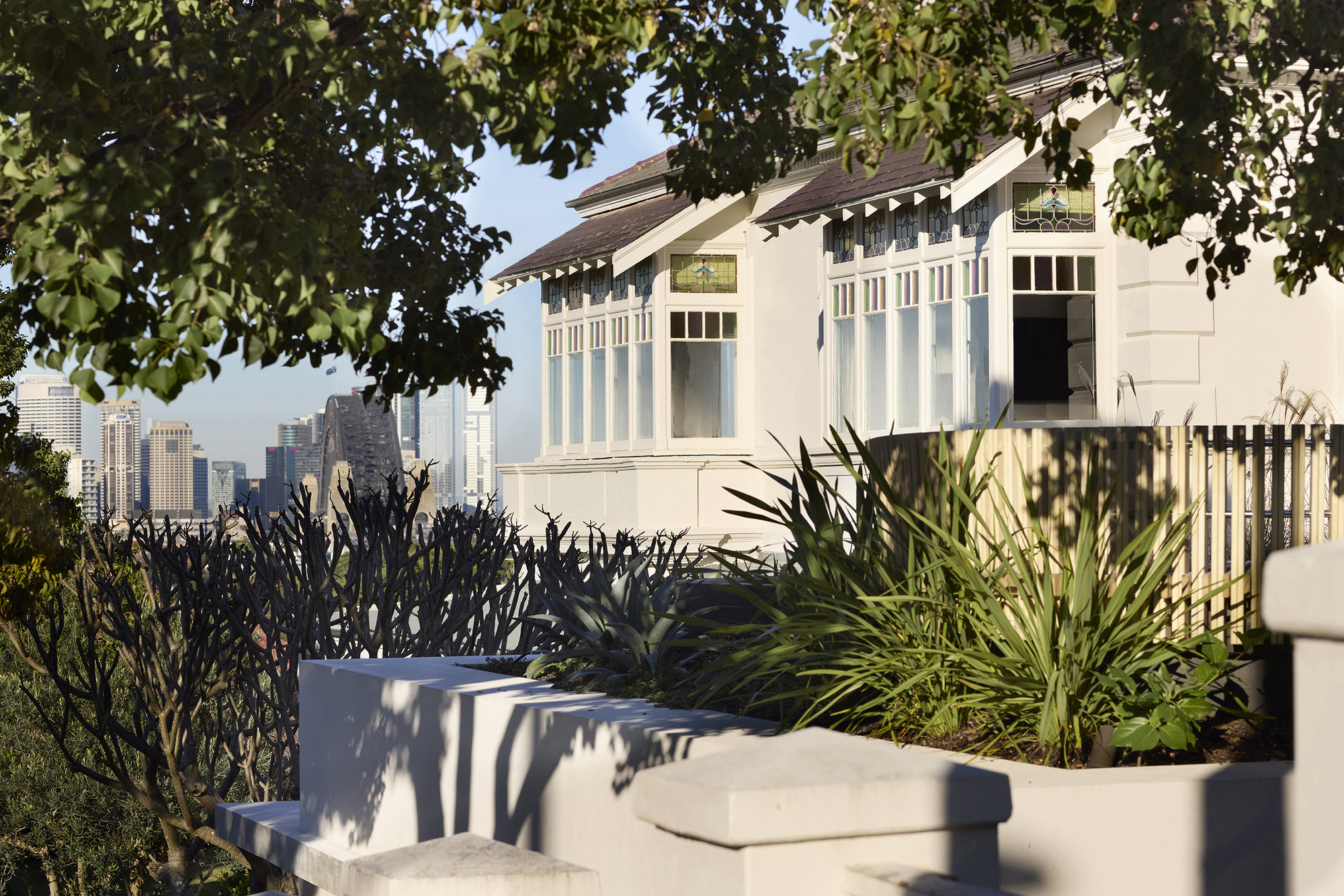 隐蔽的家 / 隐藏的家丨澳大利亚悉尼丨Luigi Rosselli Architects-25